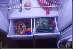 201303mynewfridge_0506_006