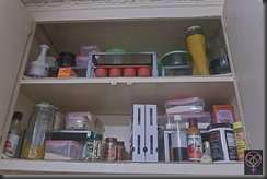 201303mynewfridge_0511_008